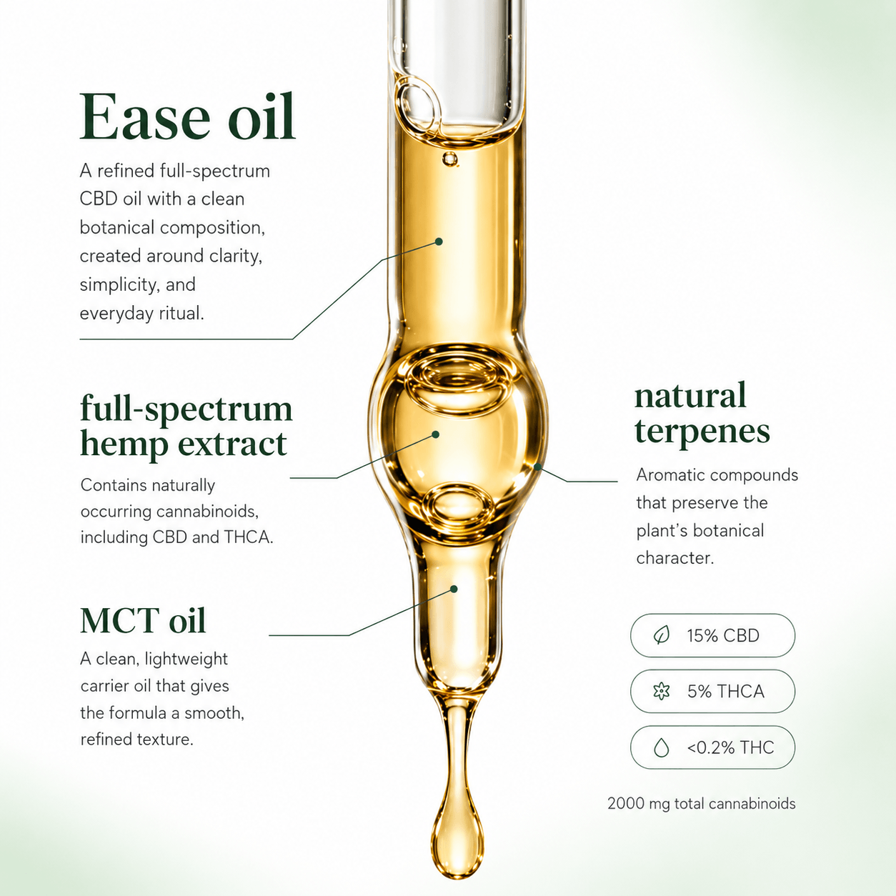 Diagram of a refined full-spectrum CBD oil with text explaining its components on a white background.